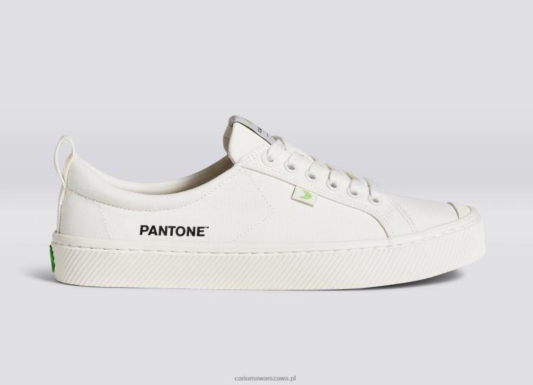 kobiety 4T2DJ227 śnieżnobiałe płótno Pantone Cariuma