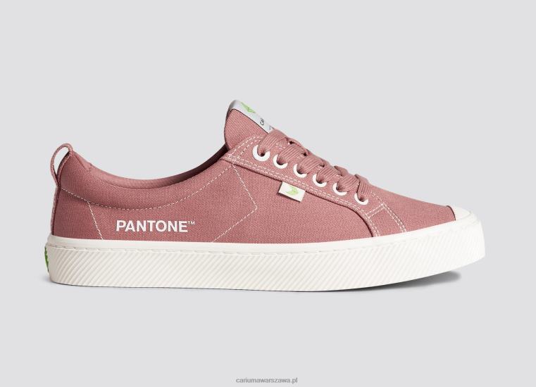 kobiety 4T2DJ229 zwiędłe różane płótno pantone Cariuma