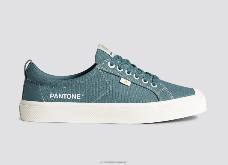 kobiety 4T2DJ230 płótno gobelinowe pantone Cariuma