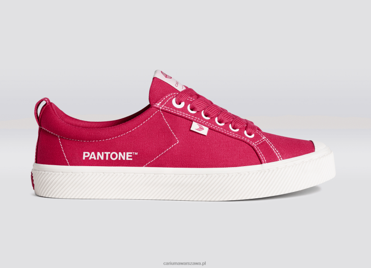 kobiety 4T2DJ251 płótno pantone viva magenta/złamana biel Cariuma