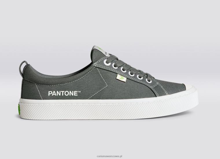 kobiety 4T2DJ253 Szare płótno Pantone Gargoyle Cariuma