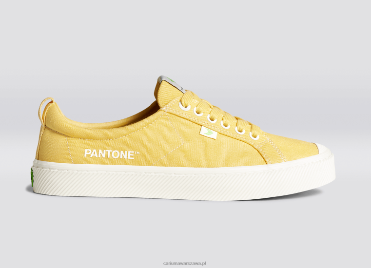 kobiety 4T2DJ268 płótno z jedwabiu kukurydzianego pantone Cariuma