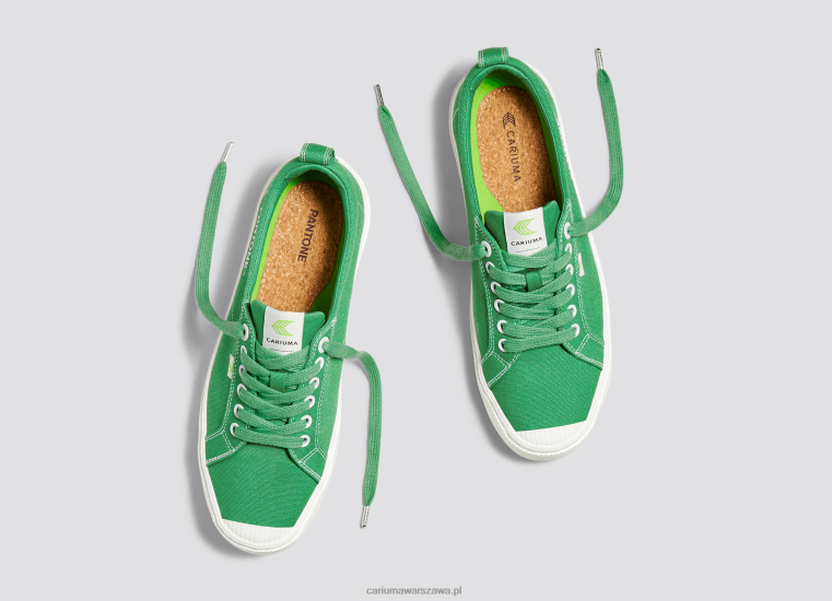 mężczyźni 4T2DJ20 płótno pantone greenbriar Cariuma