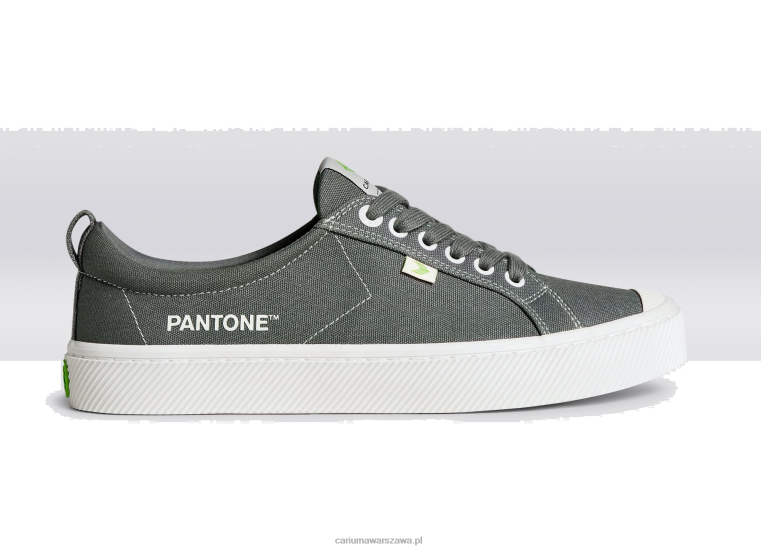 mężczyźni 4T2DJ40 Szare płótno Pantone Gargoyle Cariuma