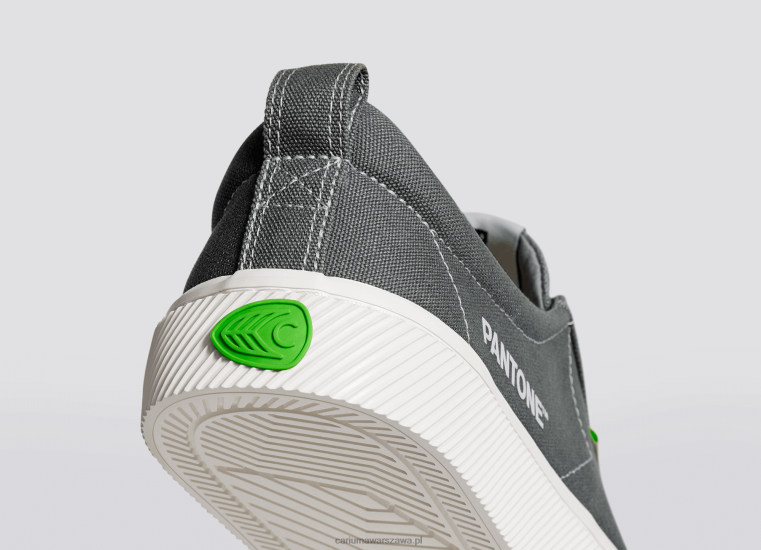 mężczyźni 4T2DJ40 Szare płótno Pantone Gargoyle Cariuma
