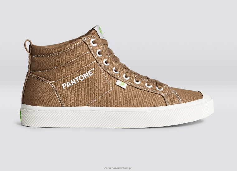 mężczyźni 4T2DJ64 płótno lwa pantone Cariuma