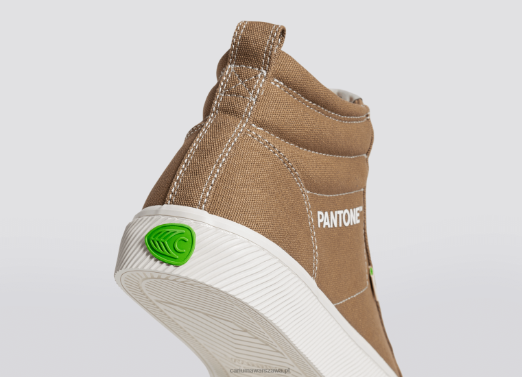 mężczyźni 4T2DJ64 płótno lwa pantone Cariuma