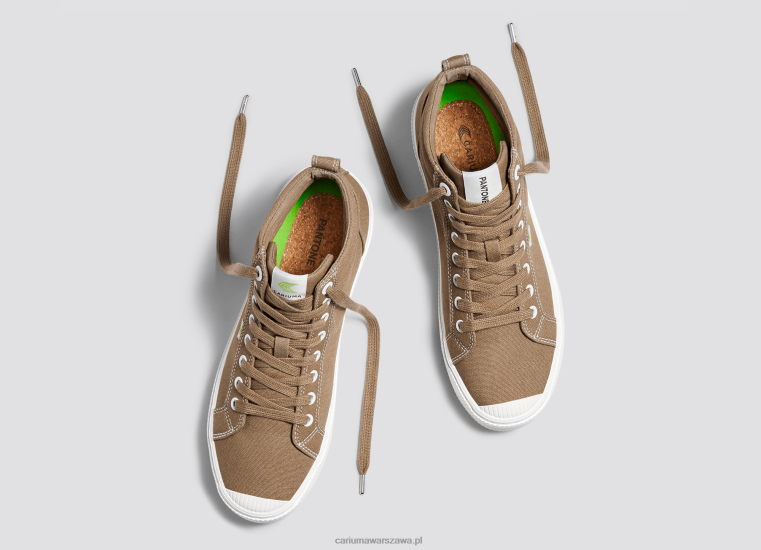 mężczyźni 4T2DJ64 płótno lwa pantone Cariuma
