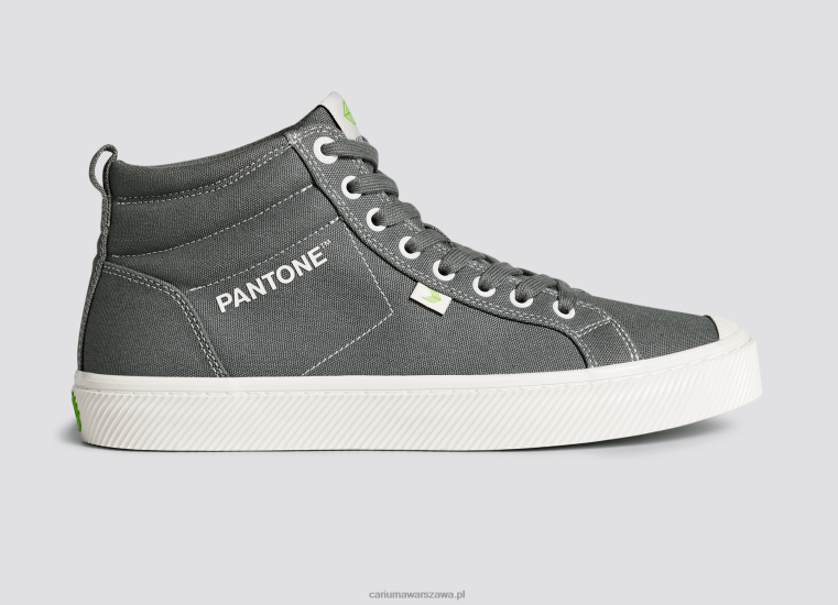mężczyźni 4T2DJ65 Szare płótno Pantone Gargoyle Cariuma