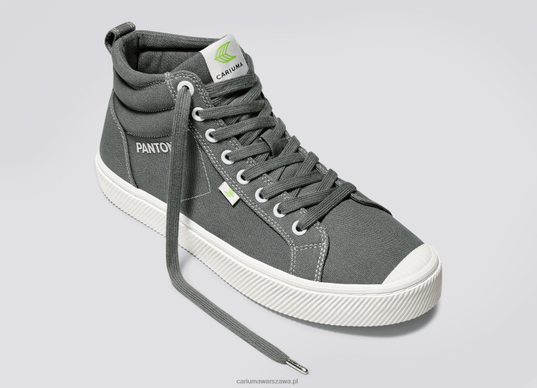 mężczyźni 4T2DJ65 Szare płótno Pantone Gargoyle Cariuma