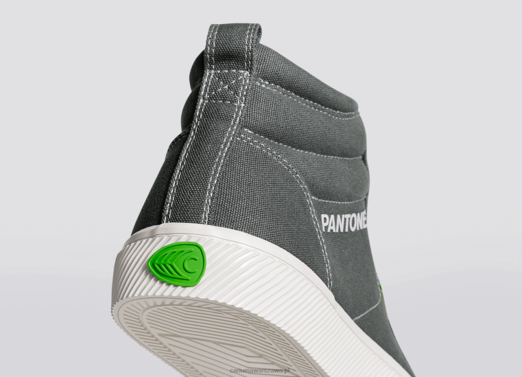 mężczyźni 4T2DJ65 Szare płótno Pantone Gargoyle Cariuma